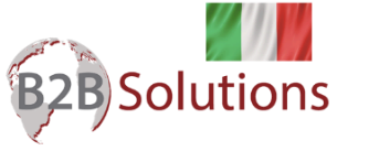 B2B Solutions Italia